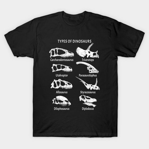Types of Dinosaurs Table for Kids T-Shirt by NicGrayTees
